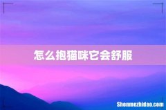怎么抱猫咪它会舒服