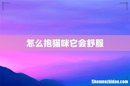 怎么抱猫咪它会舒服