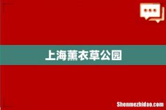 上海薰衣草公园