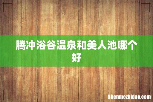 腾冲浴谷温泉和美人池哪个好