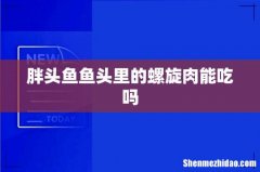 胖头鱼鱼头里的螺旋肉能吃吗