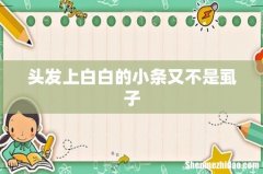 头发上白白的小条又不是虱子
