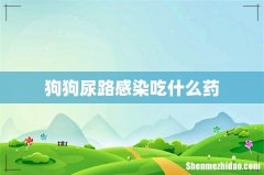 狗狗尿路感染吃什么药