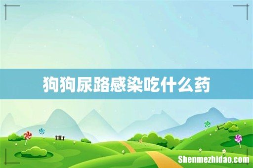 狗狗尿路感染吃什么药
