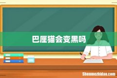巴厘猫会变黑吗