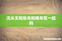 沈从文和张兆和晚年在一起吗