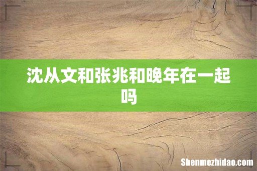 沈从文和张兆和晚年在一起吗