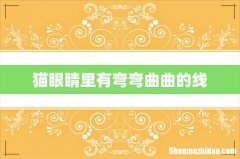 猫眼睛里有弯弯曲曲的线