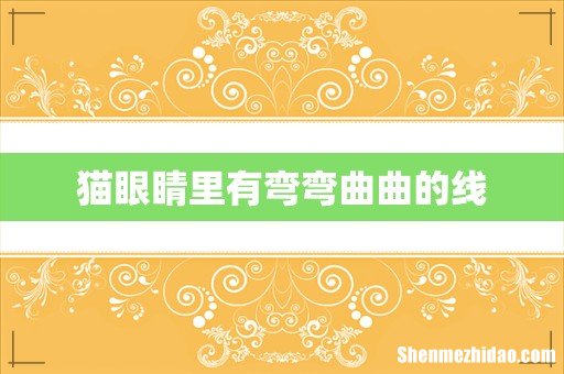 猫眼睛里有弯弯曲曲的线