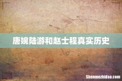唐婉陆游和赵士程真实历史