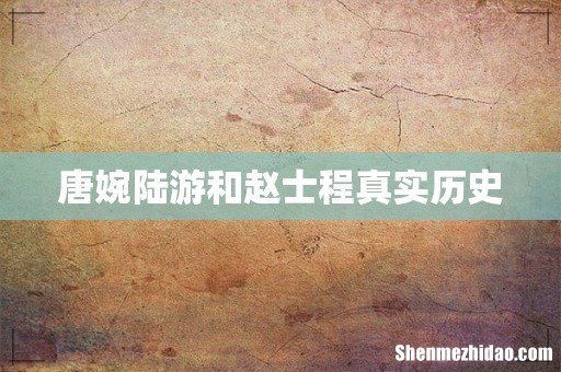 唐婉陆游和赵士程真实历史
