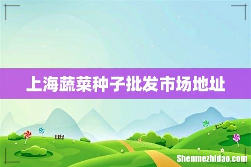 上海蔬菜种子批发市场地址