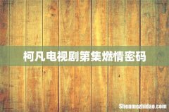 柯凡电视剧第集燃情密码