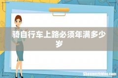 骑自行车上路必须年满多少岁