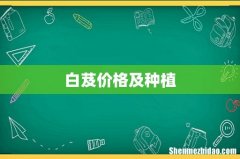白芨价格及种植