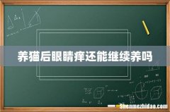 养猫后眼睛痒还能继续养吗