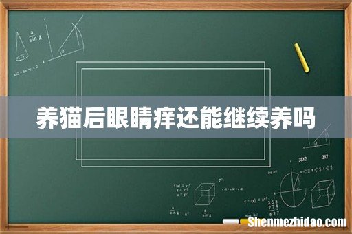 养猫后眼睛痒还能继续养吗