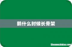 鹅什么时候长骨架
