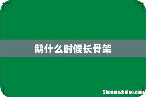 鹅什么时候长骨架