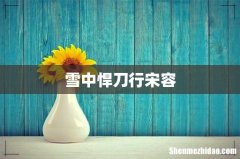雪中悍刀行宋容