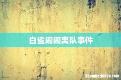 白鲨闹闹离队事件