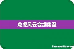 龙虎风云会续集至