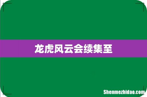 龙虎风云会续集至