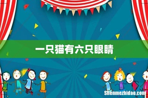 一只猫有六只眼睛