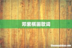 邓紫棋画歌词