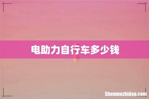 电助力自行车多少钱