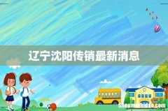 辽宁沈阳传销最新消息