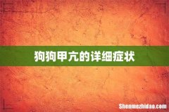狗狗甲亢的详细症状