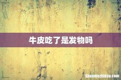 牛皮吃了是发物吗