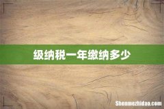 级纳税一年缴纳多少