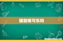 猫能喝可乐吗