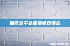 猫瘟是不是都要经历便血