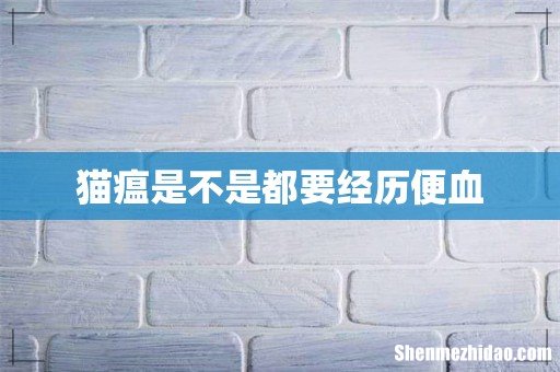 猫瘟是不是都要经历便血