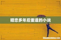 暗恋多年后重逢的小说