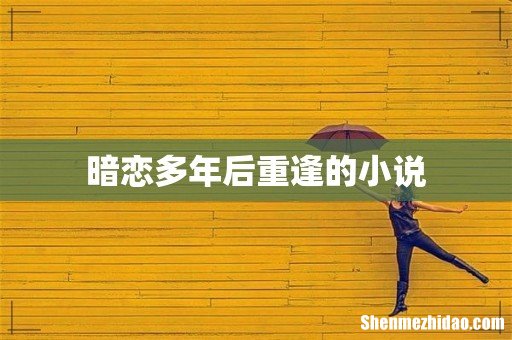 暗恋多年后重逢的小说