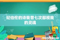 纪伯伦的诗我曾七次鄙视我的灵魂