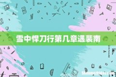雪中悍刀行第几章遇裴南