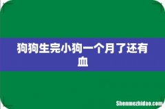 狗狗生完小狗一个月了还有血