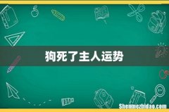 狗死了主人运势