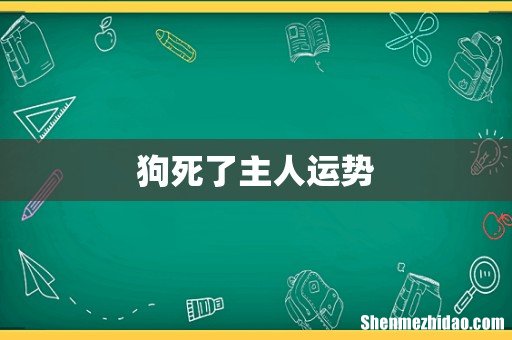 狗死了主人运势