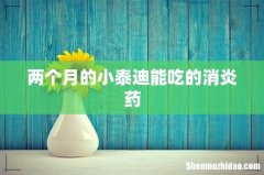 两个月的小泰迪能吃的消炎药