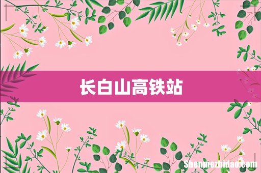 长白山高铁站