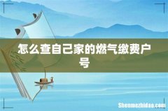 怎么查自己家的燃气缴费户号