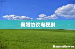 离婚协议电视剧