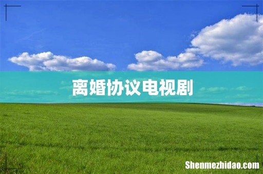离婚协议电视剧