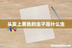 头发上黑色的虫子是什么虫